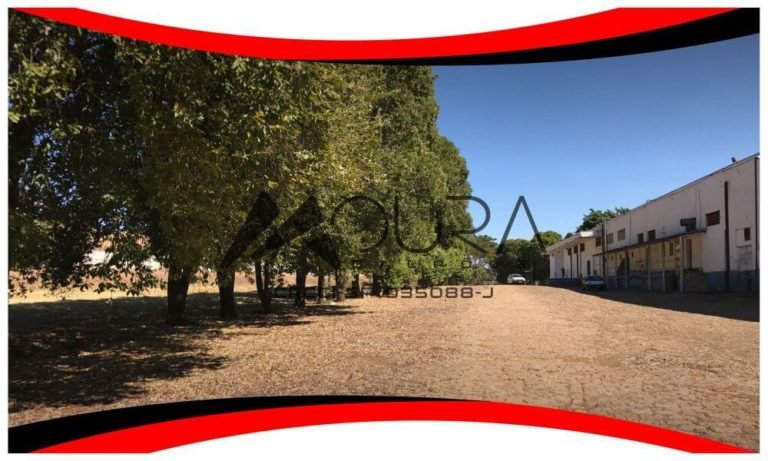 Galpão Industral Centro São José do Rio Preto para Venda com 10.091m² Moura Galpões 08
